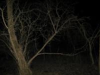 Chicago Ghost Hunters Group investigates Bachelors Grove (2).JPG